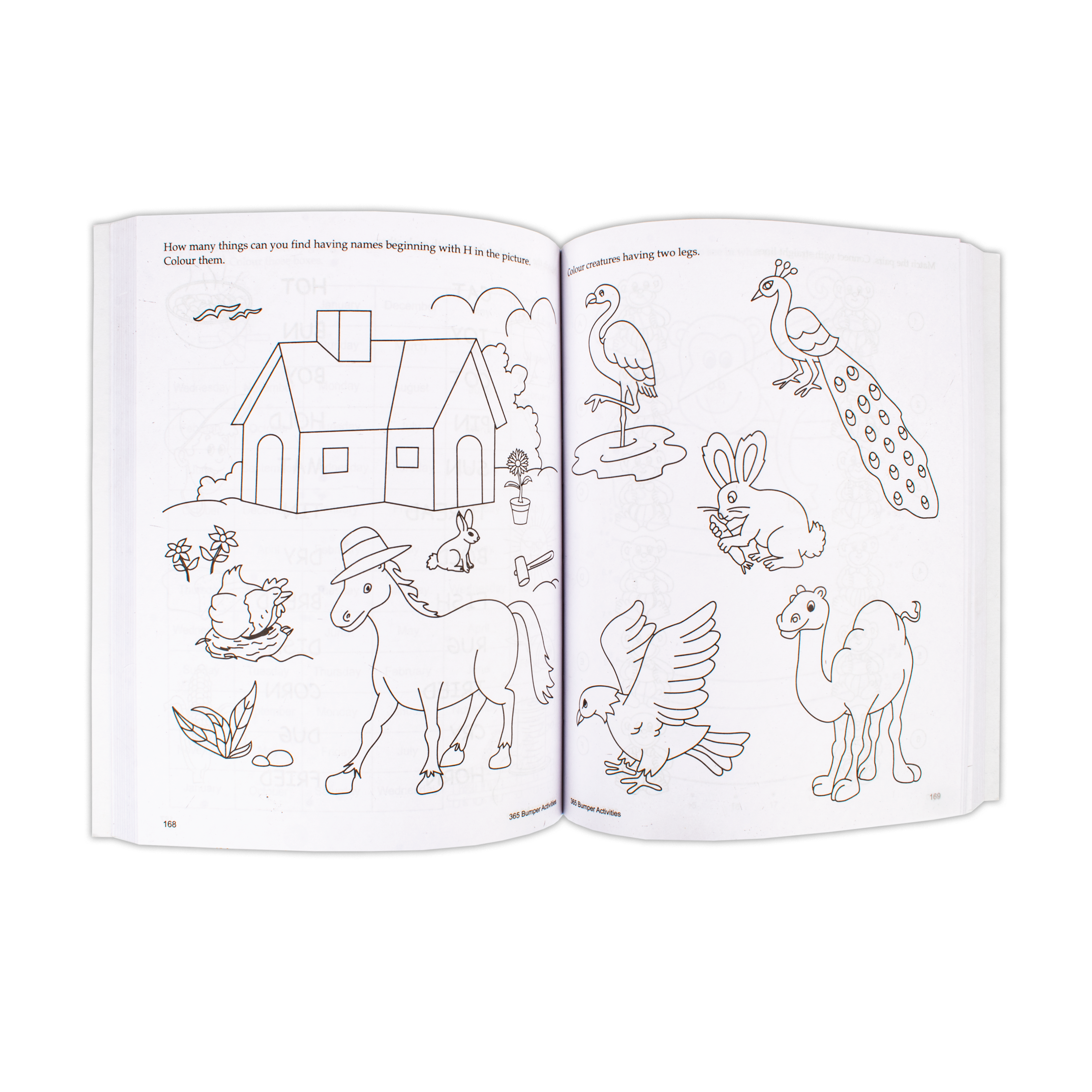 365 Bumper Activities 1Book