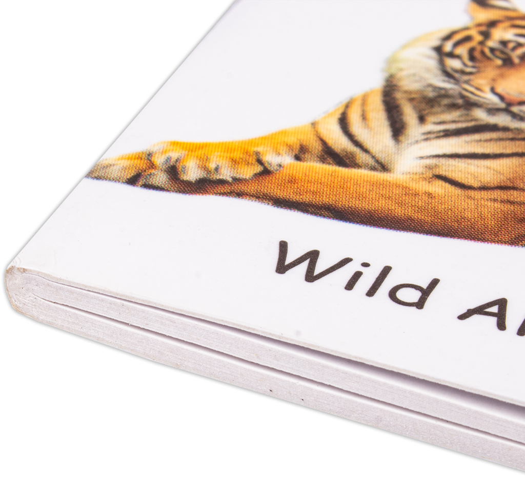 All In One Book 1Book