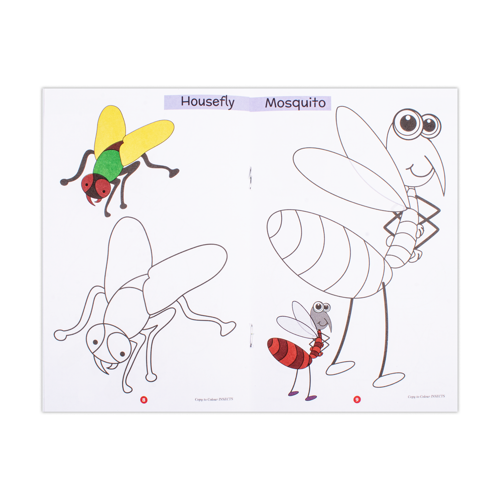 Copy To Colour Insects 1Book
