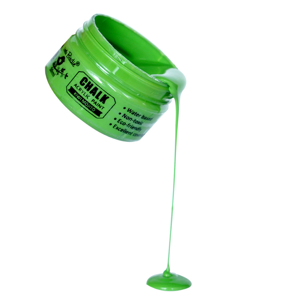 Home Decor Chalk Paint Kiwi Mojito 50ml Bottle