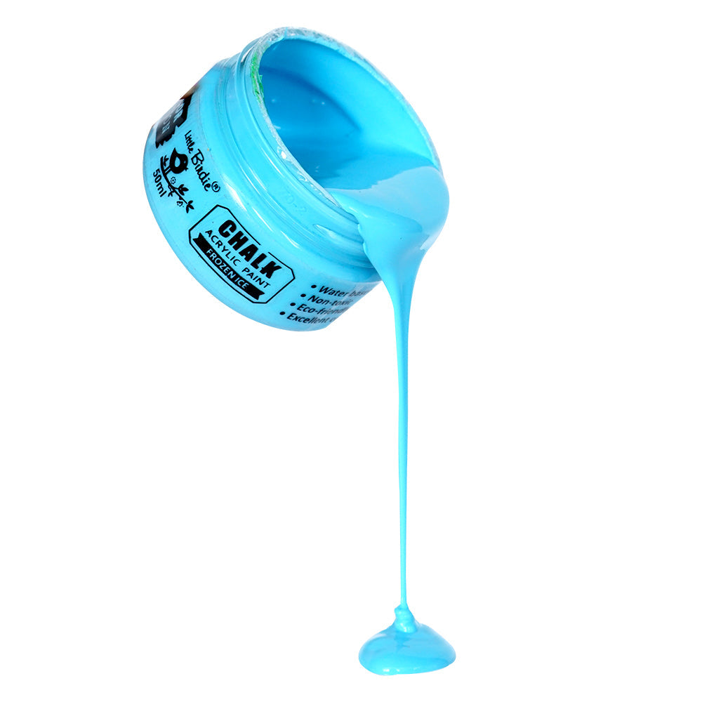 Home Decor Chalk Paint Frozen Ice 50ml Bottle