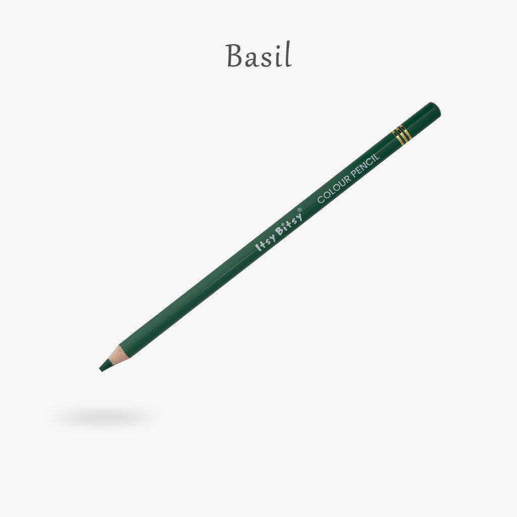 Premium Artist Colour Pencil 1pc - Basil