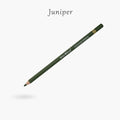 Premium Artist Colour Pencil 1pc - Juniper