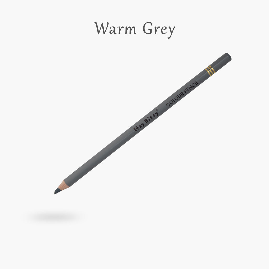 Premium Artist Colour Pencil 1pc - Warm Grey