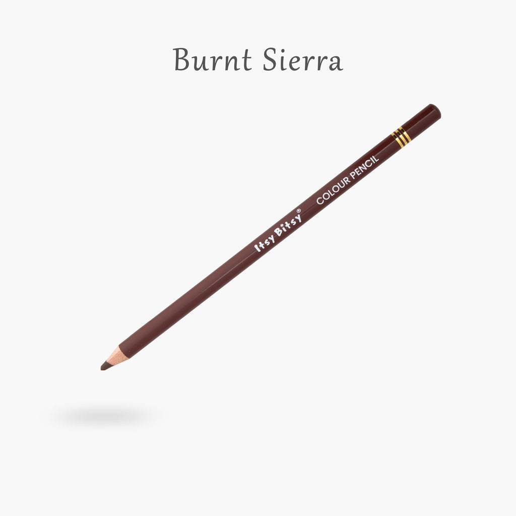 Premium Artist Colour Pencil 1pc - Burnt Sierra