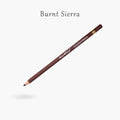 Premium Artist Colour Pencil 1pc - Burnt Sierra