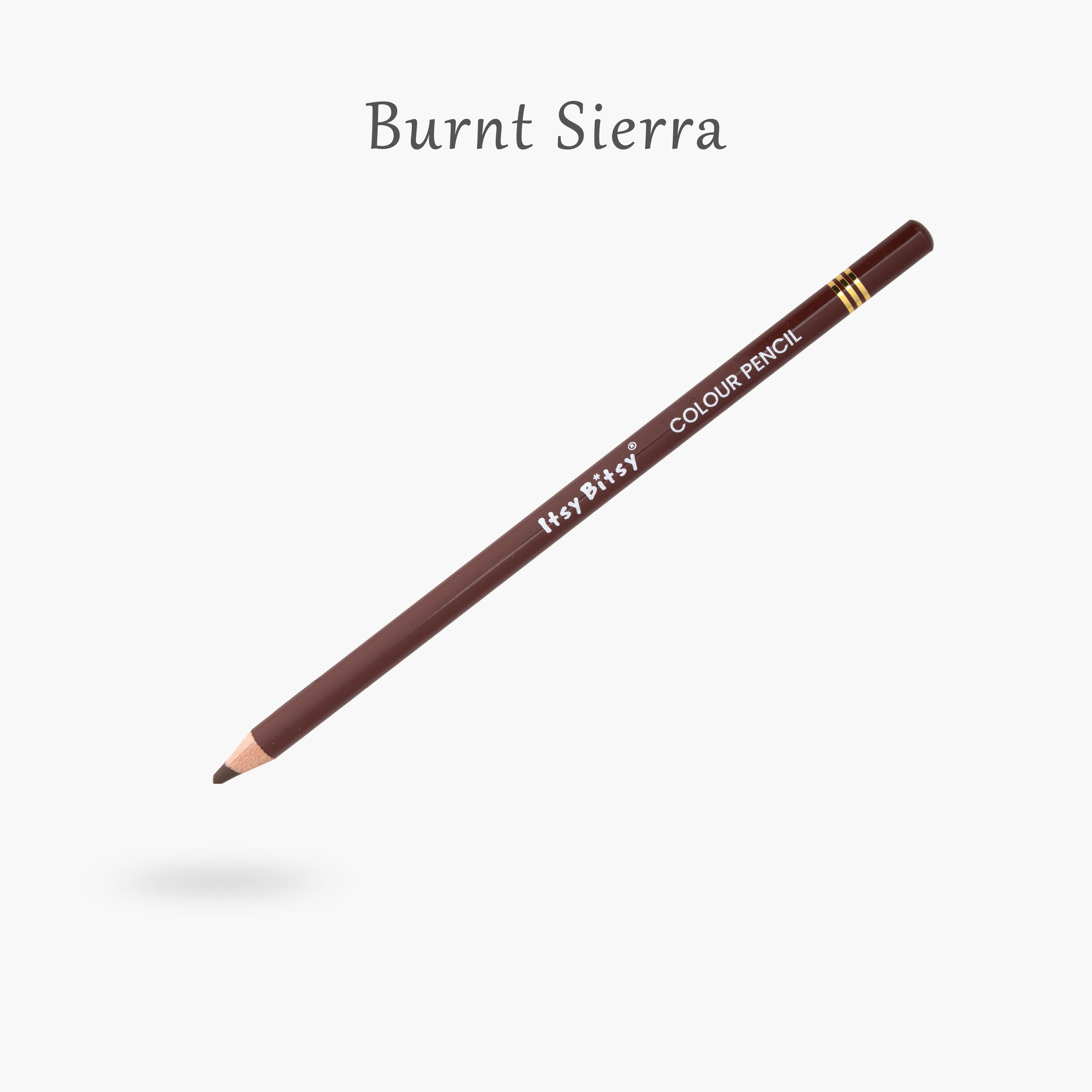 Premium Artist Colour Pencil 1pc - Burnt Sierra