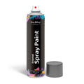Spray Paint Grey 300ml