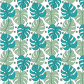 Printed Cardstock |  12 X 12inch |  Monstera Vista | 250gsm | 1Sheet
