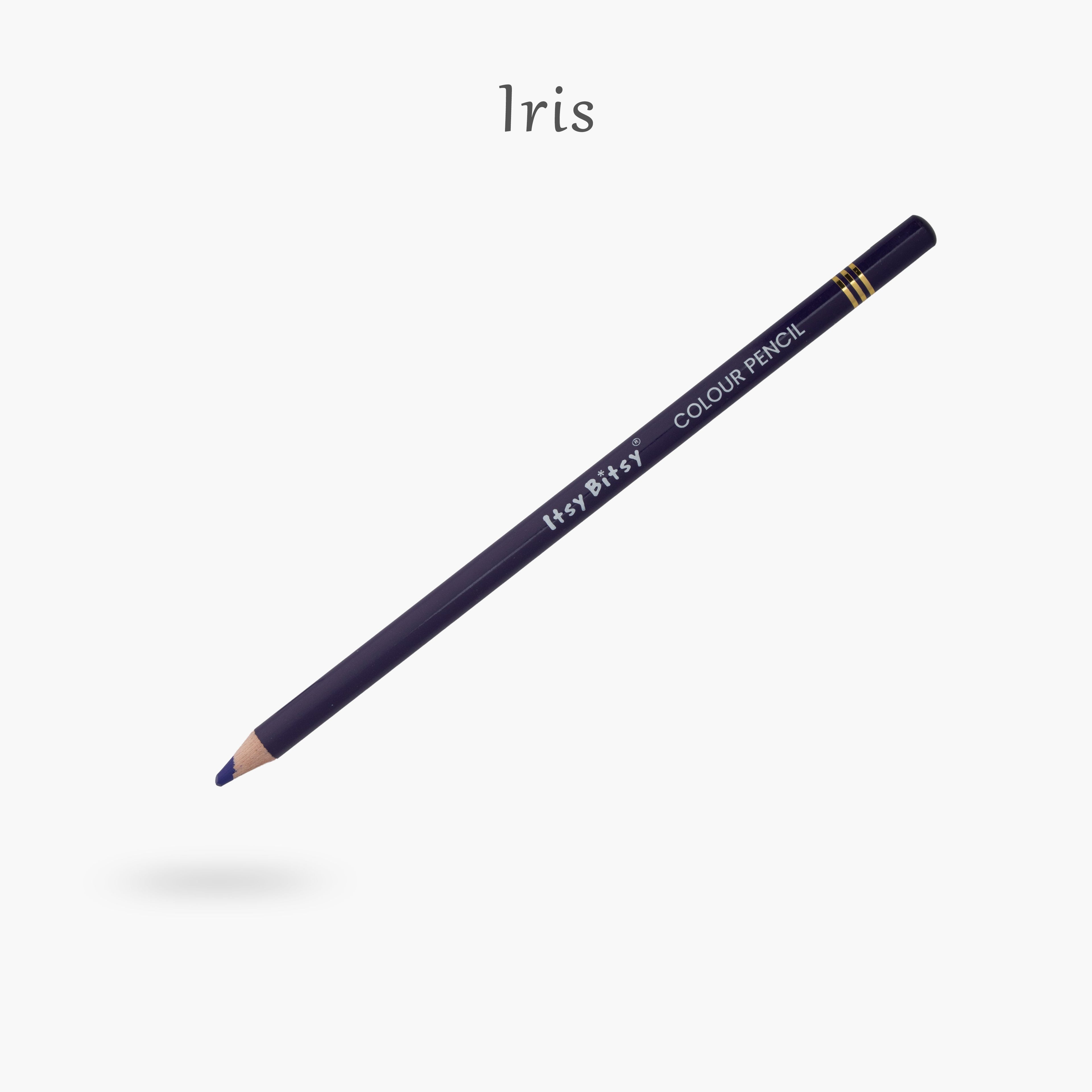Premium Artist Colour Pencil 1pc - Iris