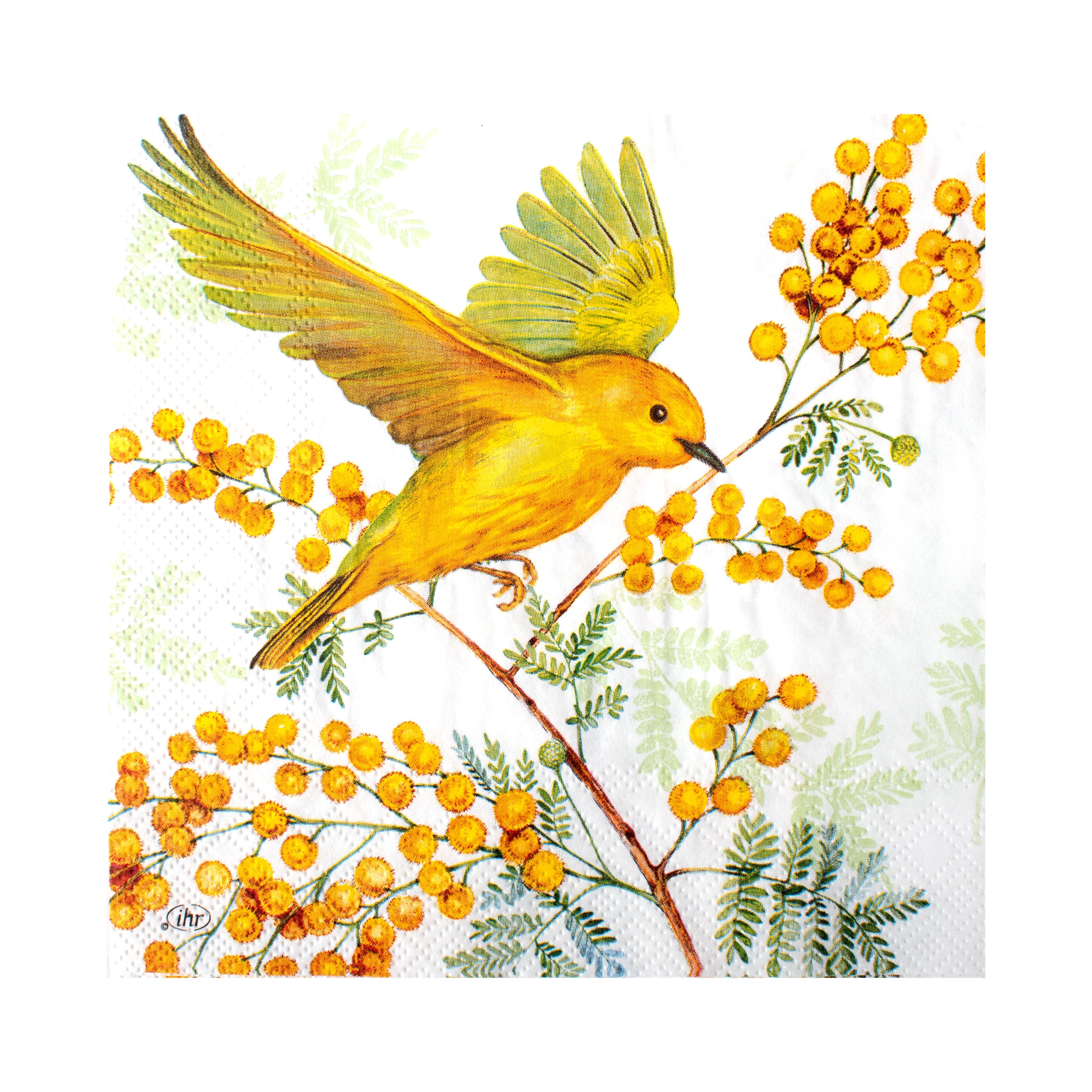 Decoupage Napkin Songbird 13 X 13inch 3PLY 1pc