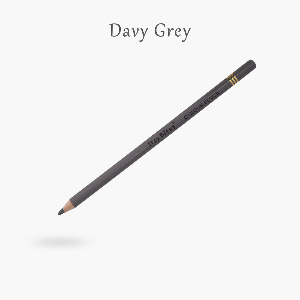 Premium Artist Colour Pencil 1pc - Davy Grey