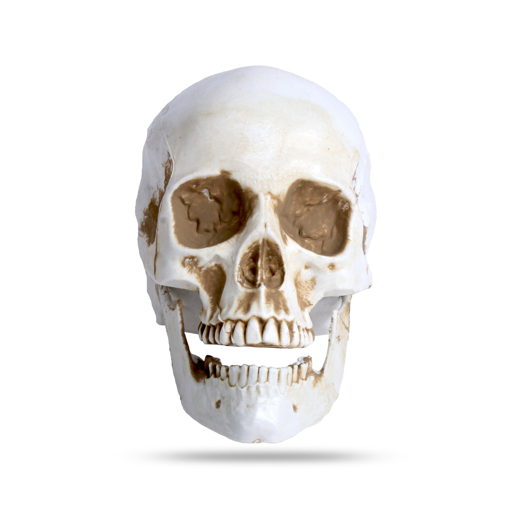 Skull Decoration 10Cm 1Pc