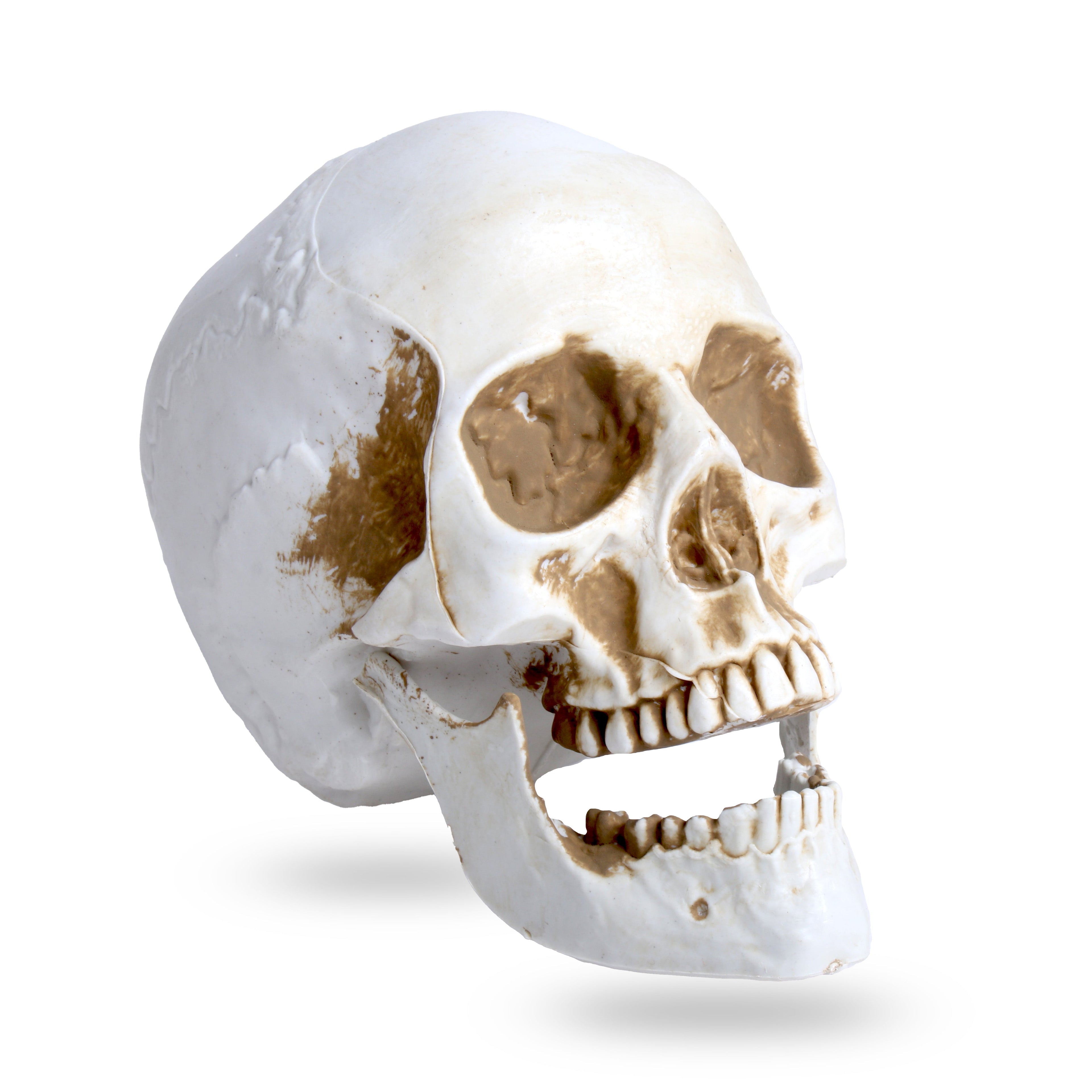 Skull Decoration 10Cm 1Pc