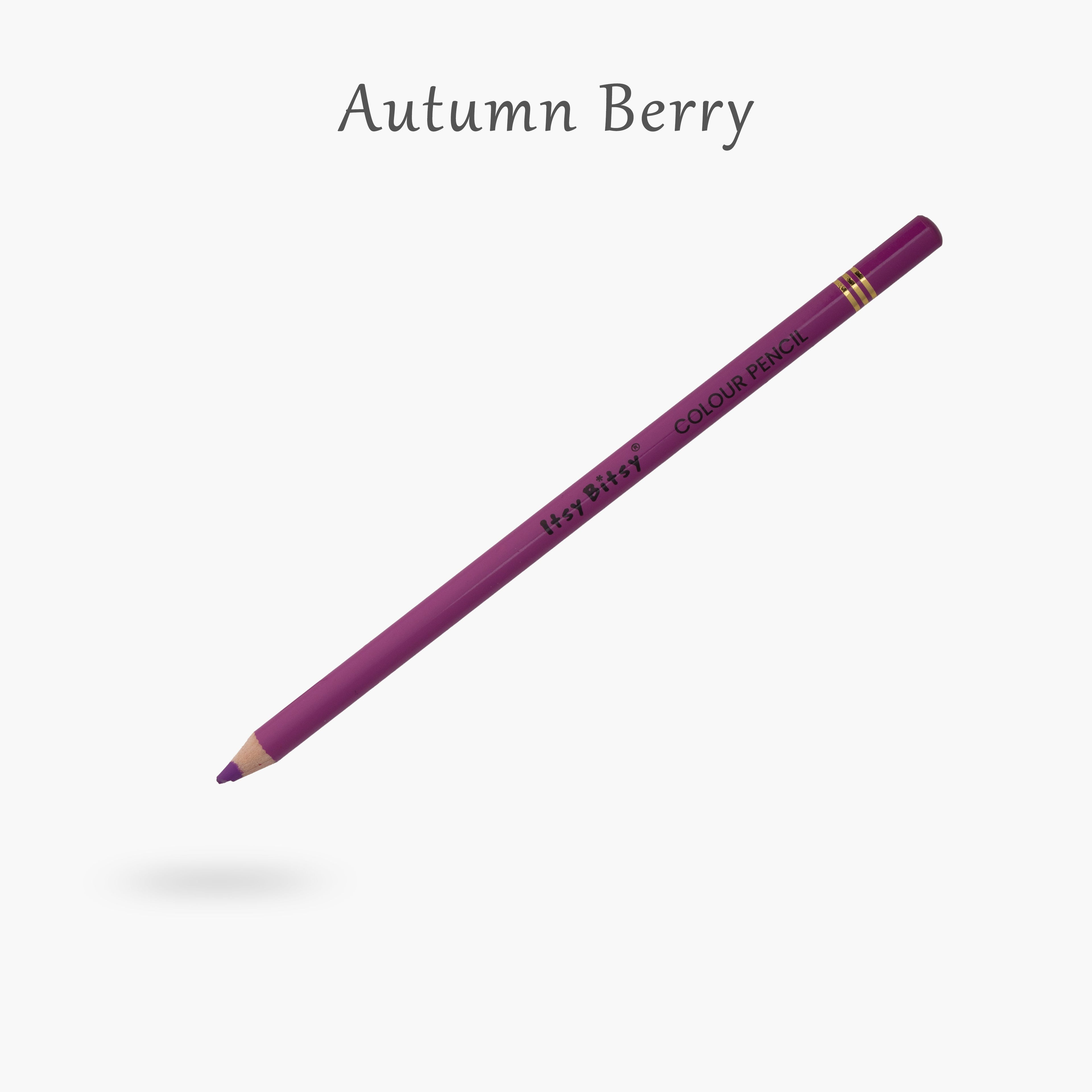 Premium Artist Colour Pencil 1pc - Autumn Berry