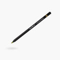 Premium Artist Rainbow Colour Pencil 1pc - Carnival Splash