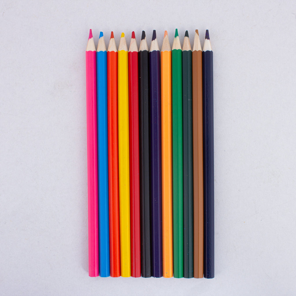 Premium Watercolour Pencils 12colours Cylindrical Box