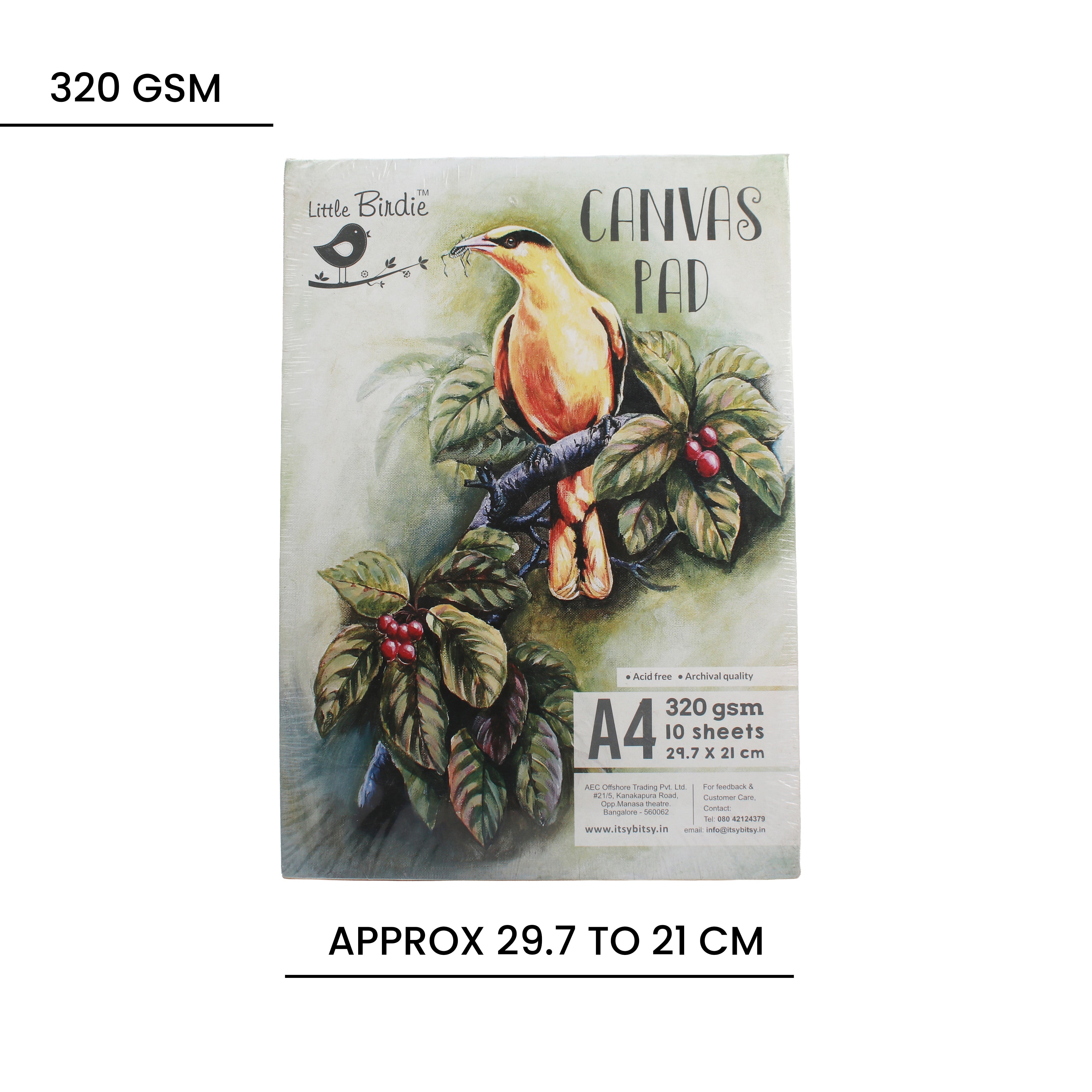 Canvas Sheets A4 10Sheets