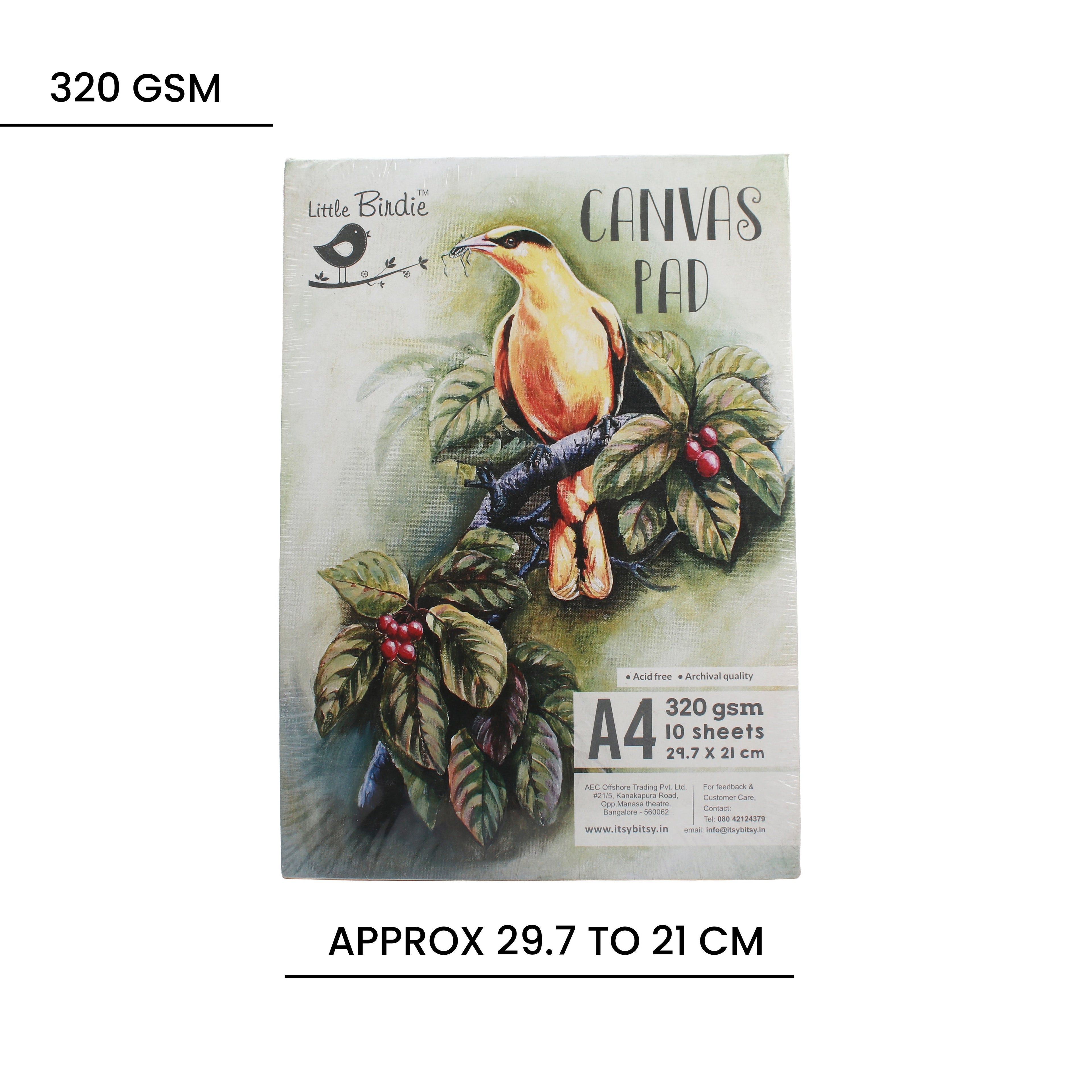 Canvas Sheets A4 10Sheets