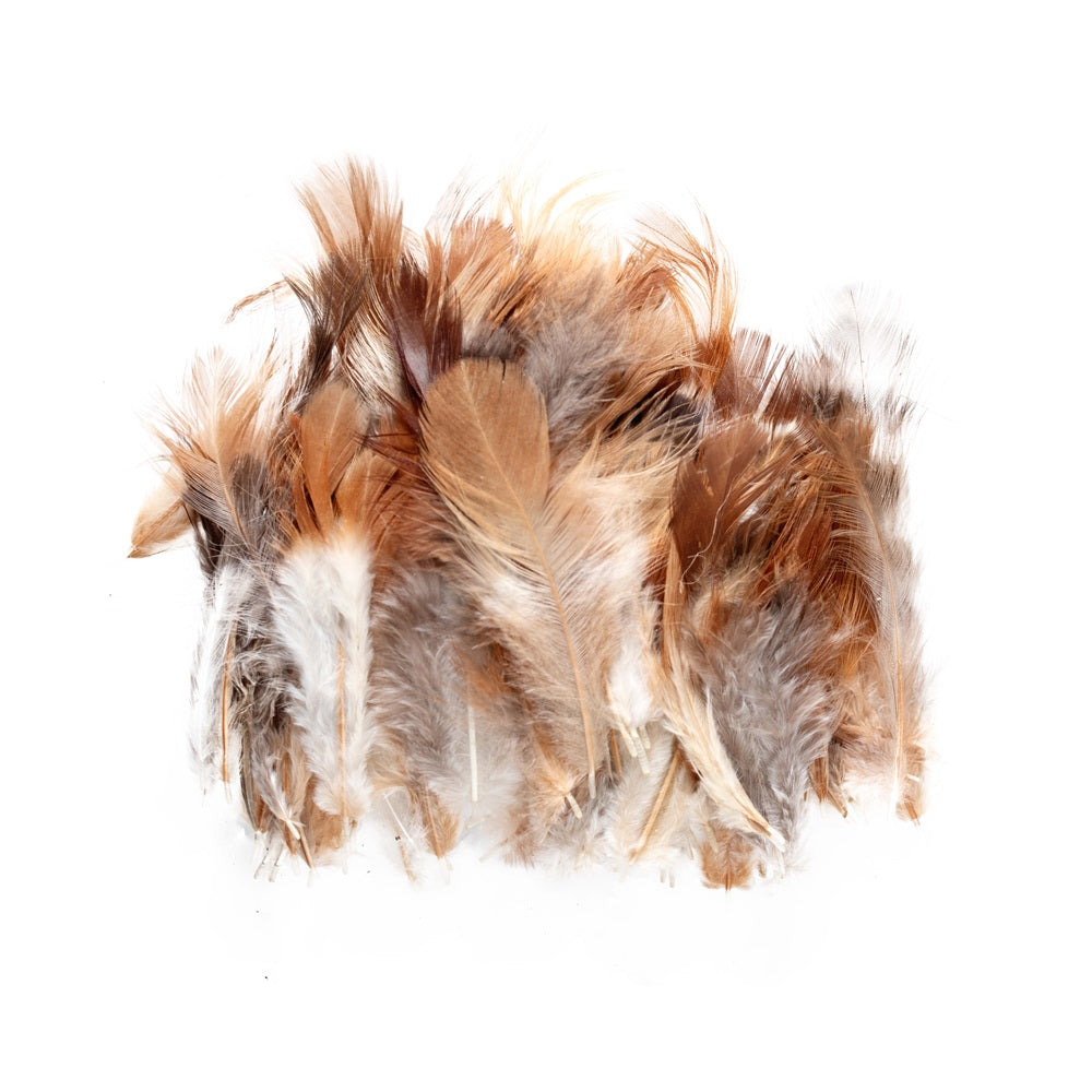 Shades Of Brown Feathers 90Pcs