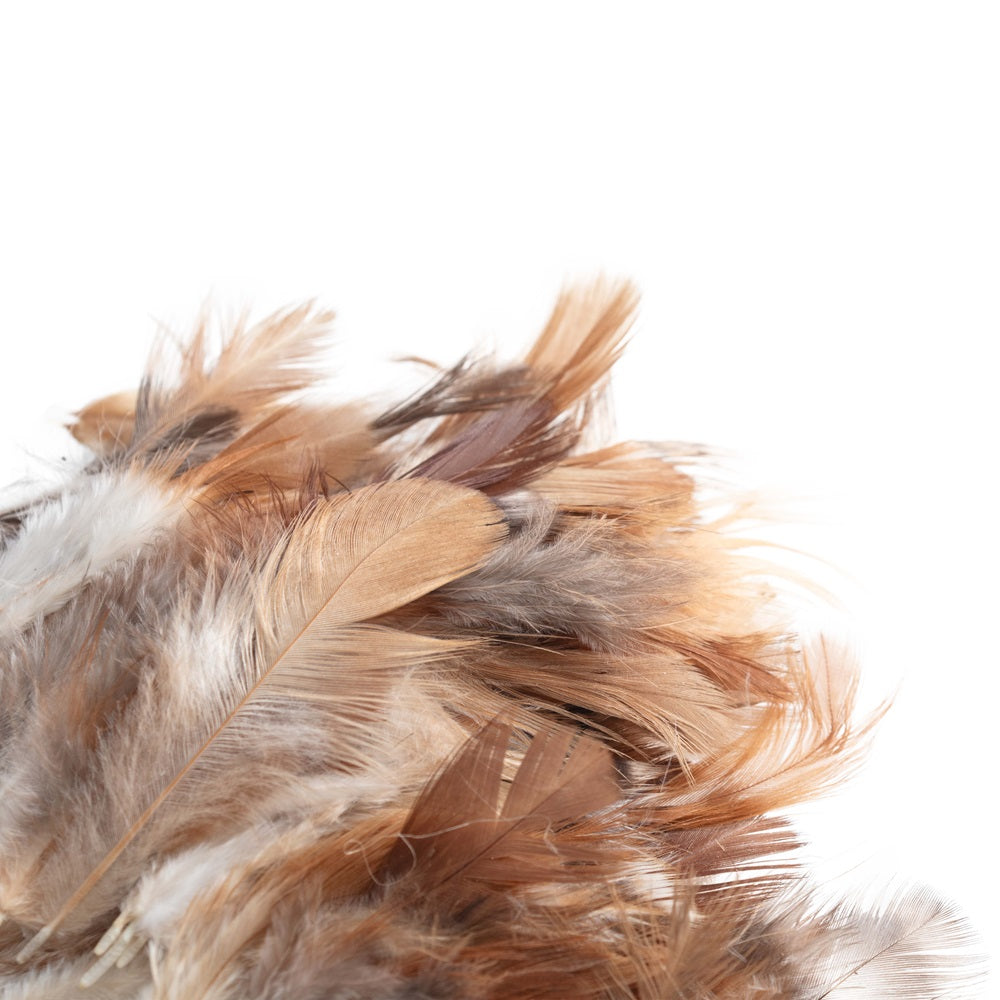 Shades Of Brown Feathers 90Pcs