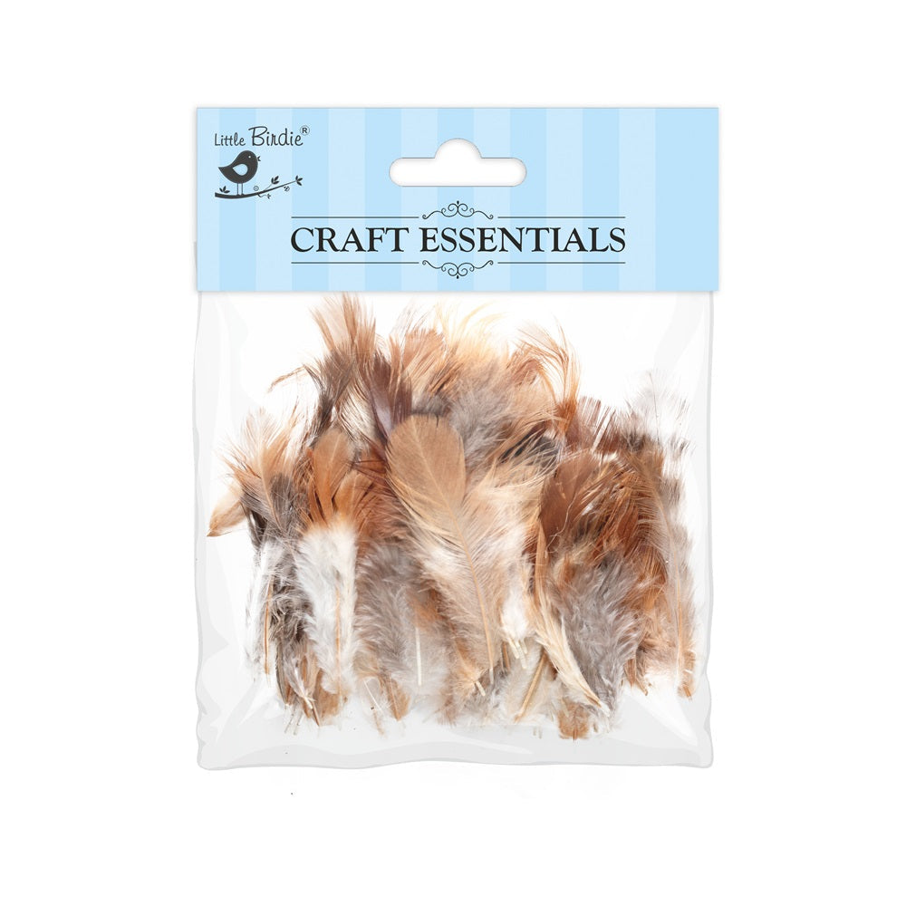 Shades Of Brown Feathers 90Pcs