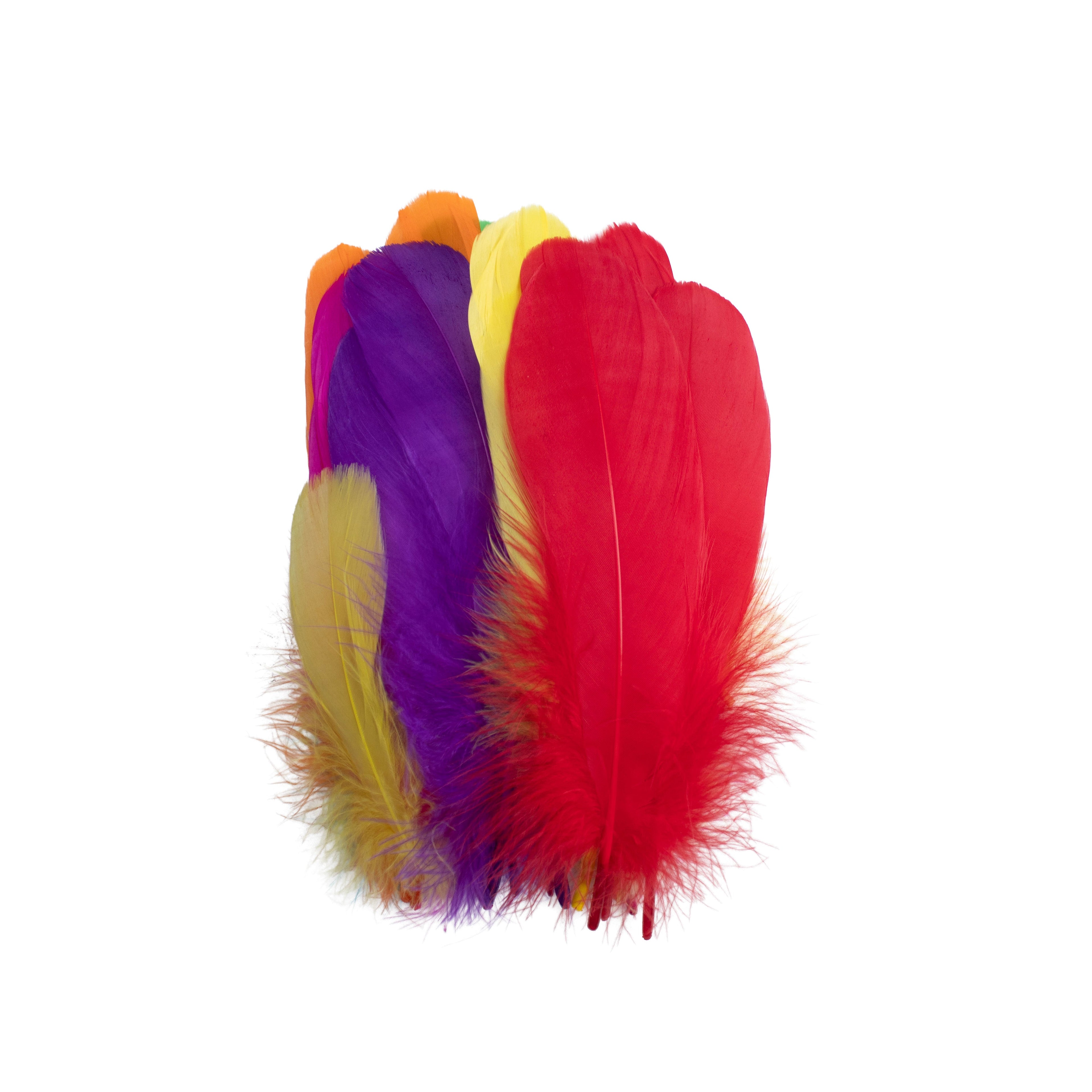 Goose Feathers Bright Approx 15 to 17cm 20pc