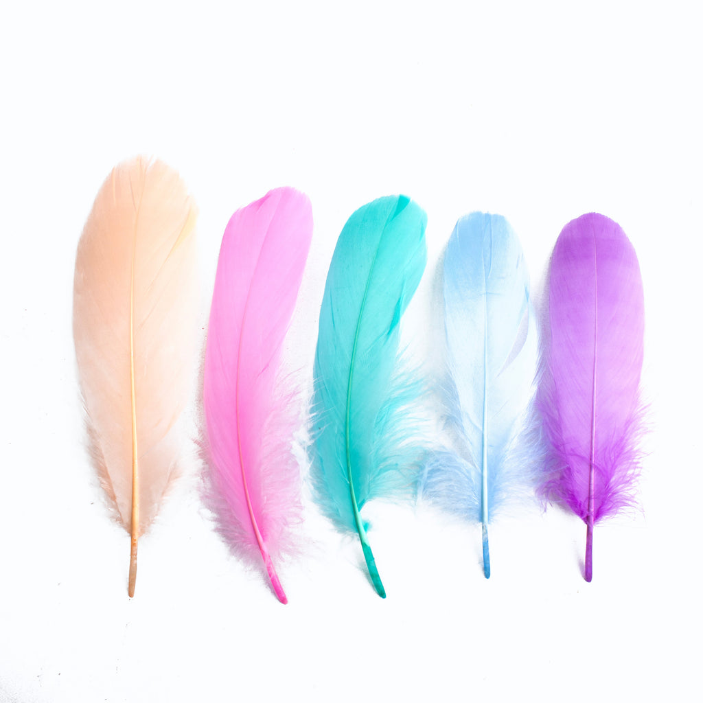 Goose Feathers Pastel 15 to 17cm 20pc