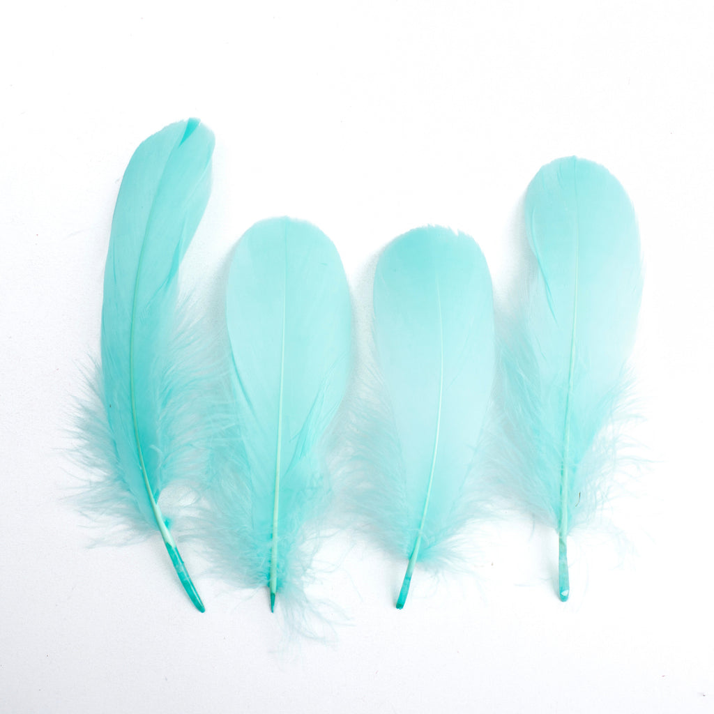 Goose Feathers Pastel 15 to 17cm 20pc