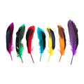 Duck Feathers Rainbow Black 10 to 15cm 20pc