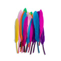 Goose Feathers Vibrant 10 to 15cm 20pc