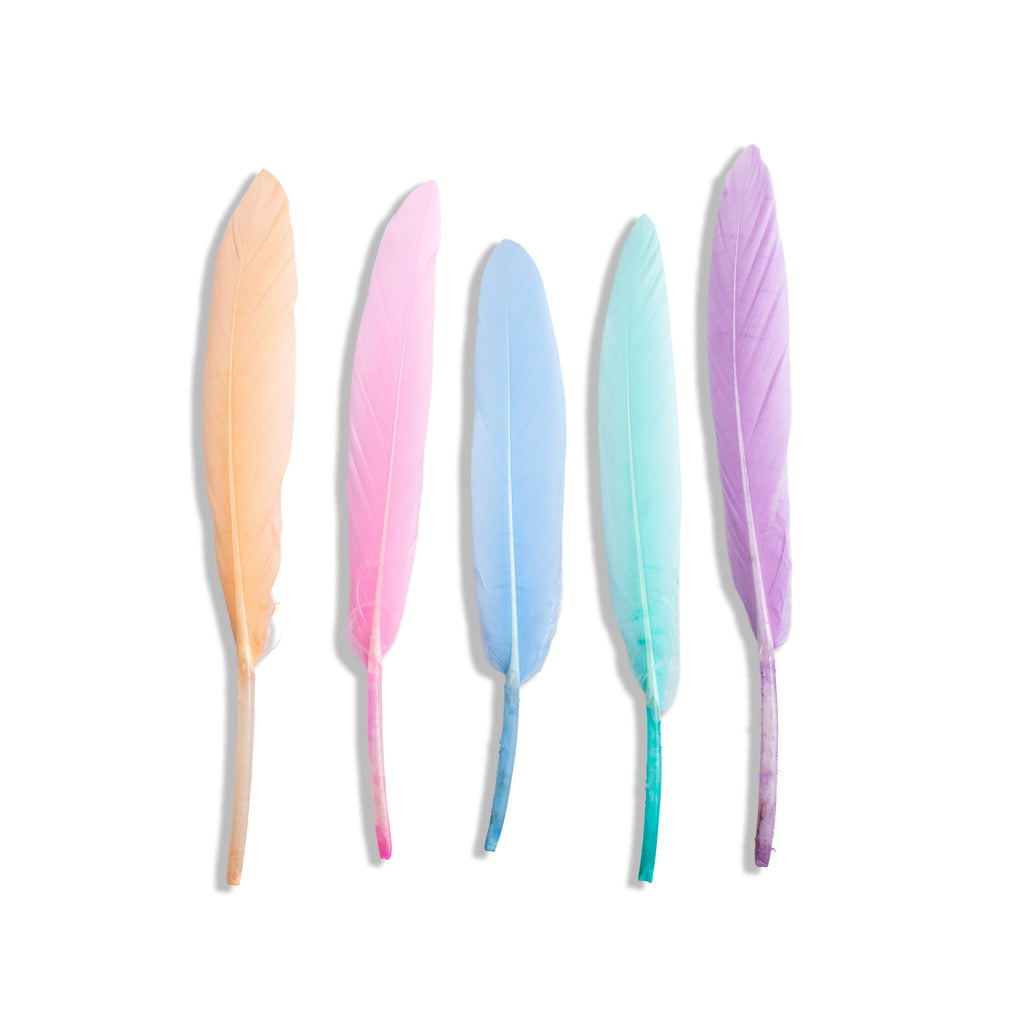 Goose Feathers Pink & Blue 10 to 15cm 20pc