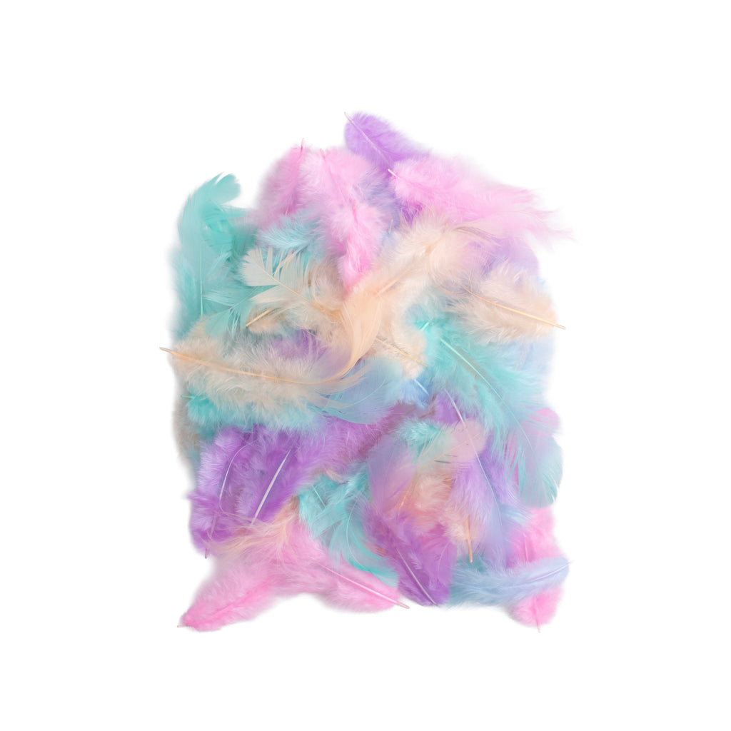 Rooster Feathers Pastel 10 to 15cm 16gm