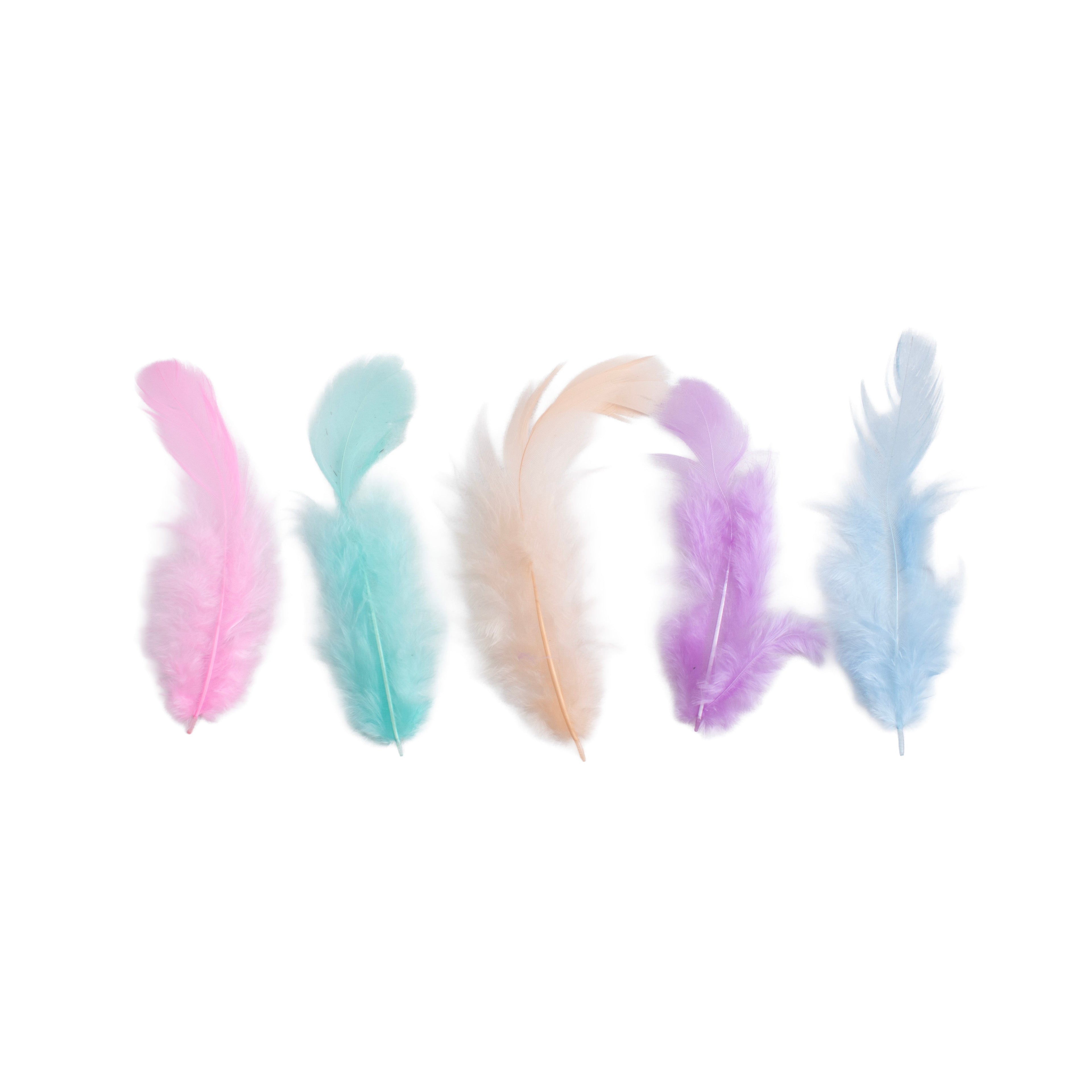 Rooster Feathers Pastel 10 to 15cm 16gm
