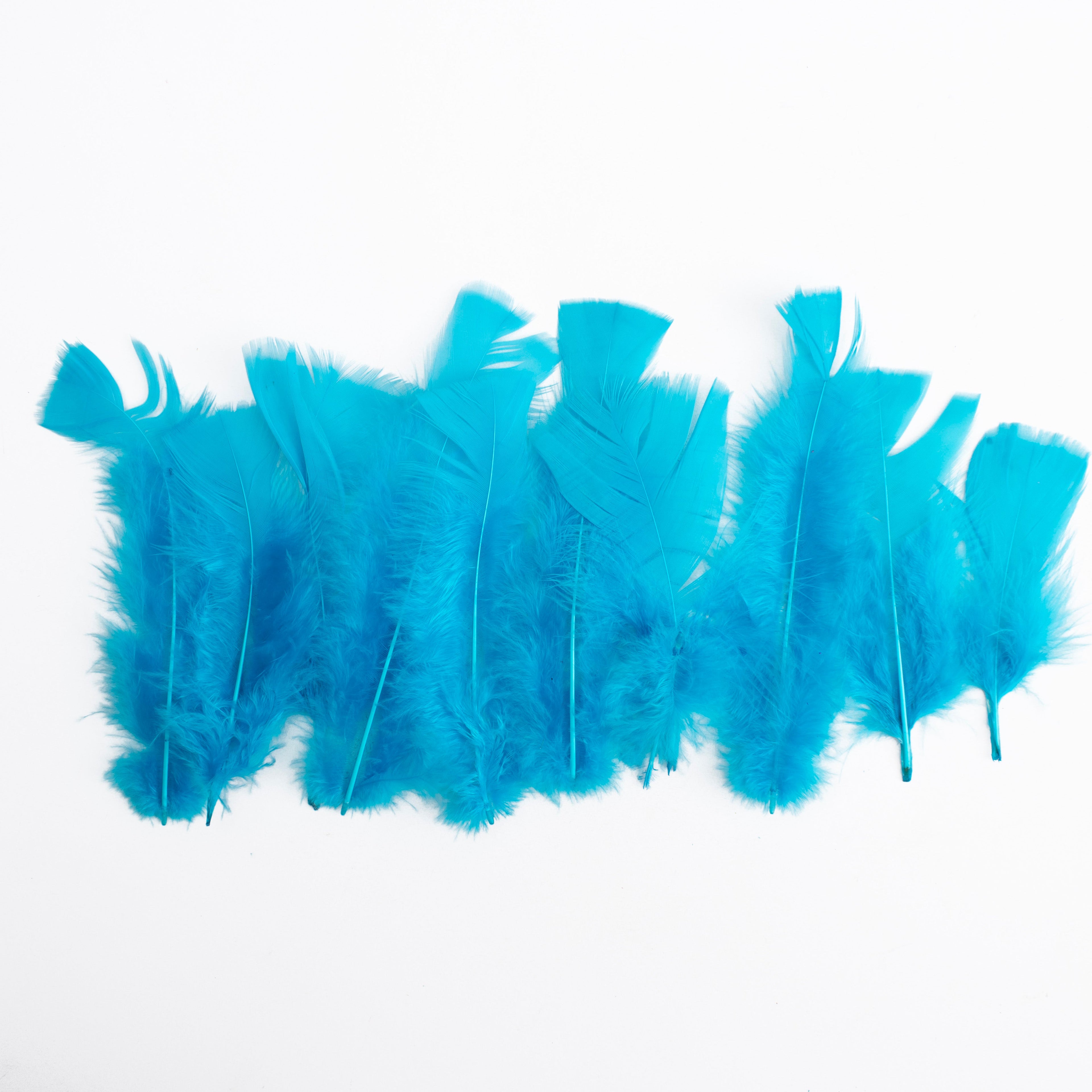 Long Turkey Feathers Bright 10 to 15cm 10gm