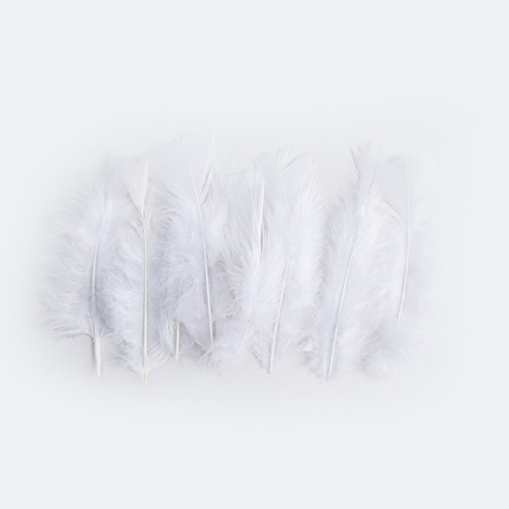 Long Turkey Feathers Pastel 10 to 15cm 16gm