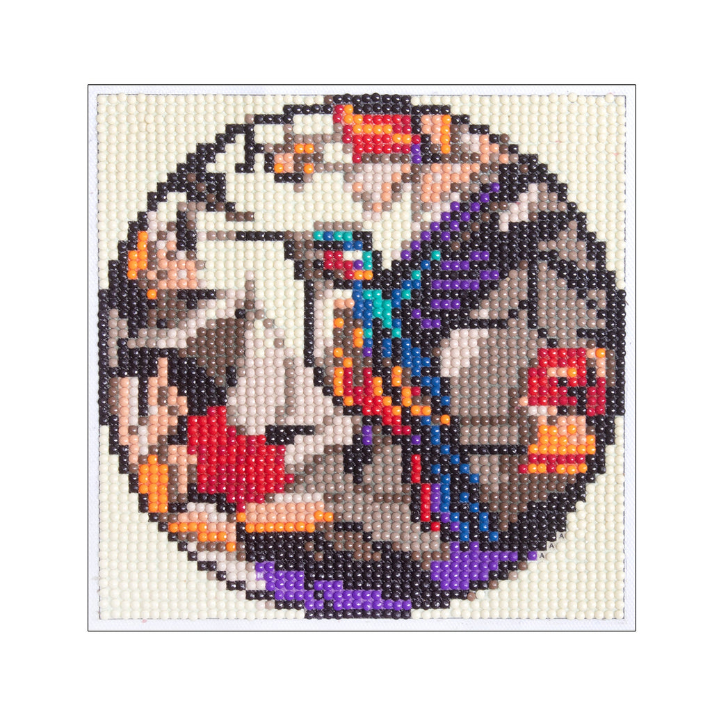 5D Diamond Painting Kit Parrot 15 X 15cm 1pc