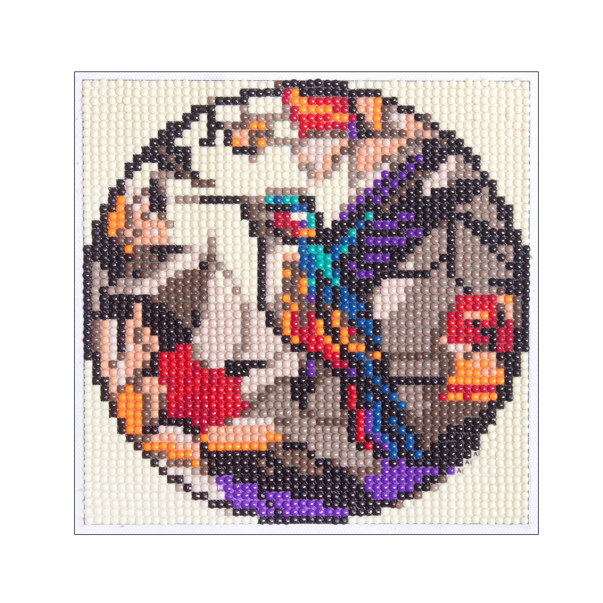 (15 x 15 cm) - 5D Diamond Painting - Parrot  Matching Frame Combo