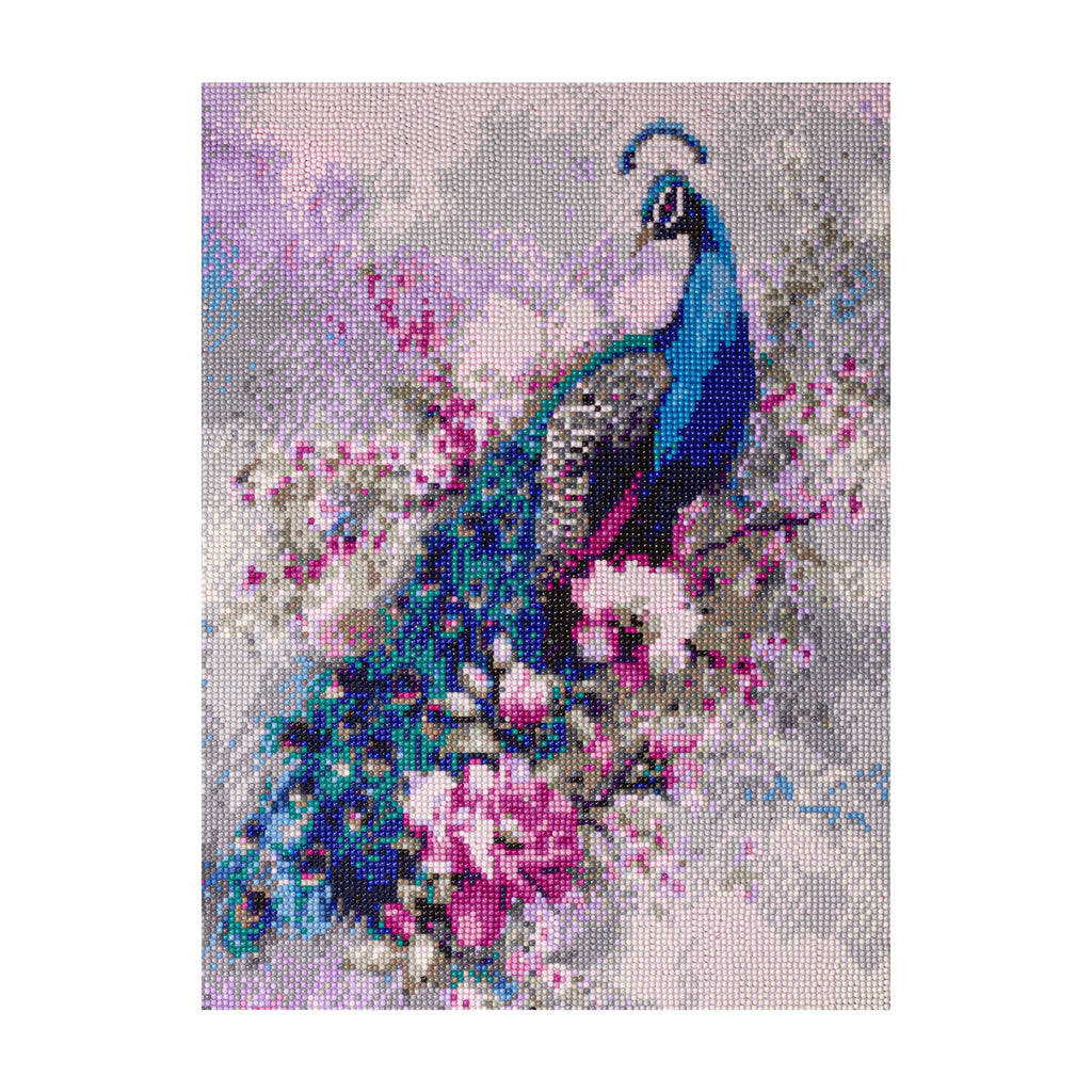 (40 x 50 cm) - 5D Diamond Painting - Peacock Grace  Matching Frame Combo