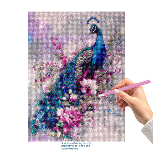(40 x 50 cm) - 5D Diamond Painting - Peacock Grace  Matching Frame Combo