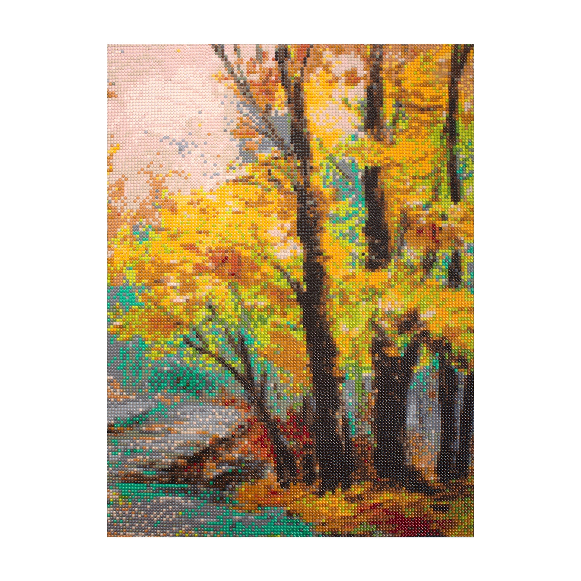 (40 x 50 cm) - 5D Diamond Painting - Enchanted Forest  Matching Frame Combo