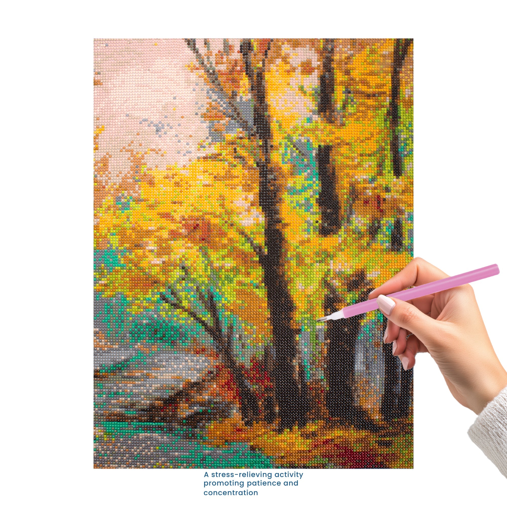 (40 x 50 cm) - 5D Diamond Painting - Enchanted Forest  Matching Frame Combo