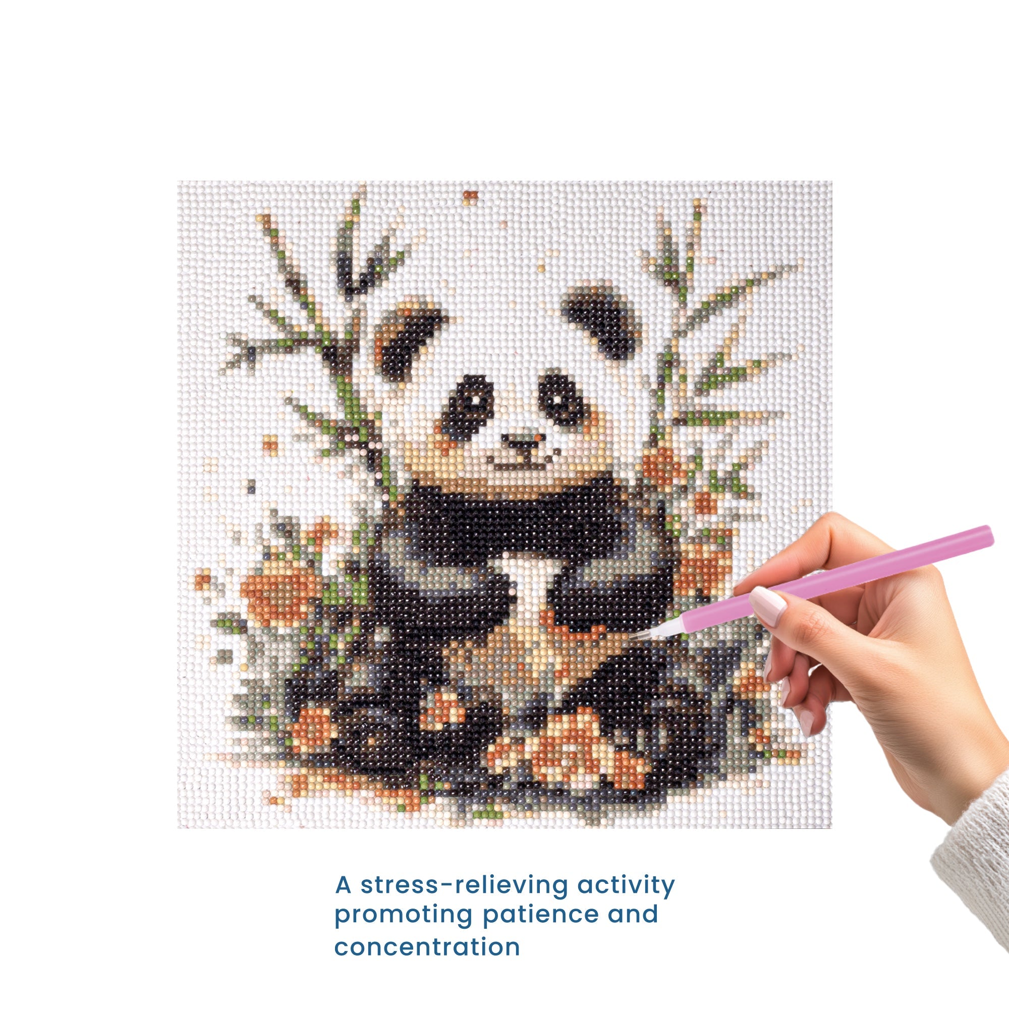 (30 X 30 cm) - 5D Diamond Painting - Playful Panda  Matching Frame Combo