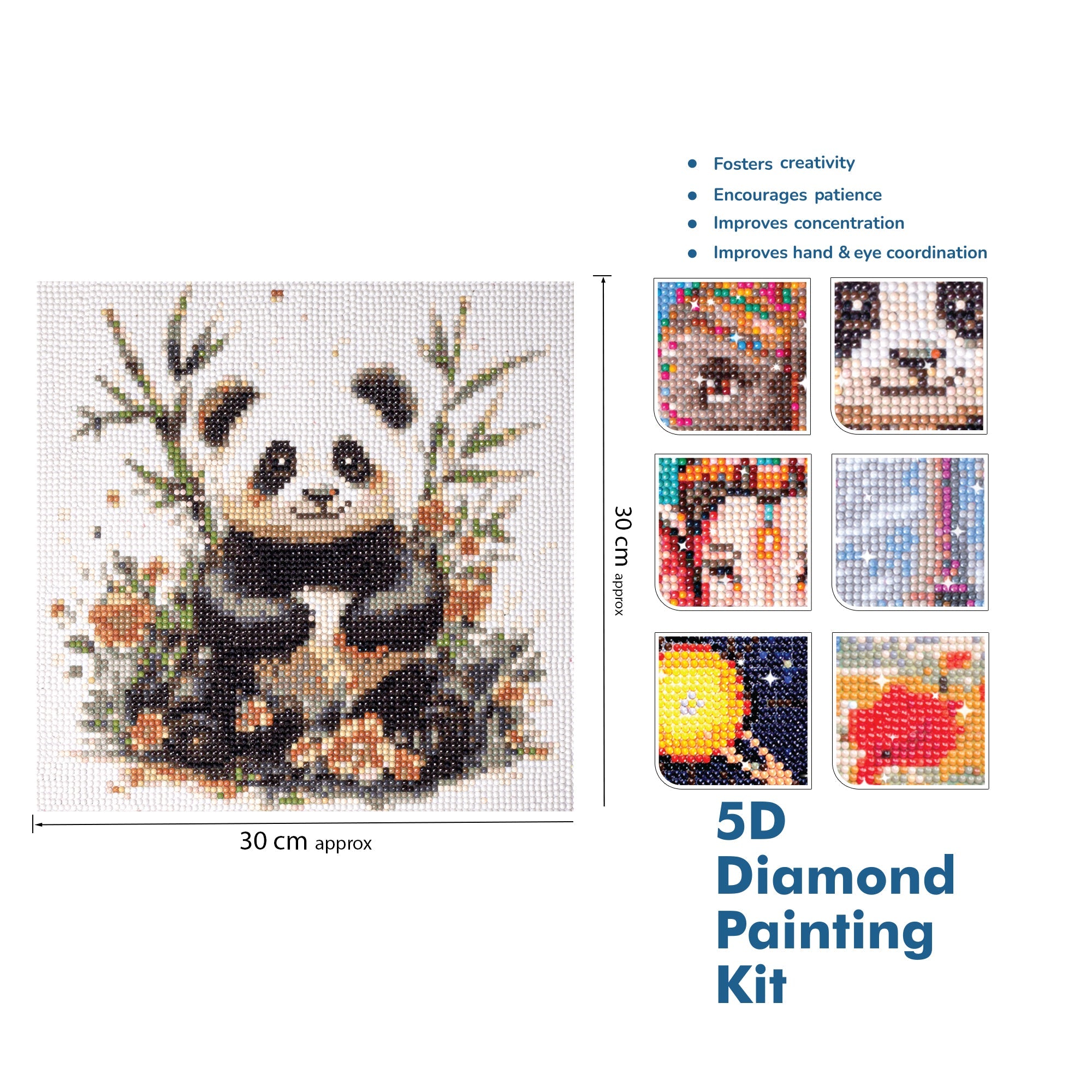 (30 X 30 cm) - 5D Diamond Painting - Playful Panda  Matching Frame Combo
