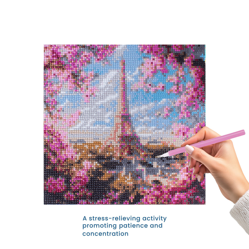 (30 X 30 cm) - 5D Diamond Painting - Blossoms in Paris  Matching Frame Combo