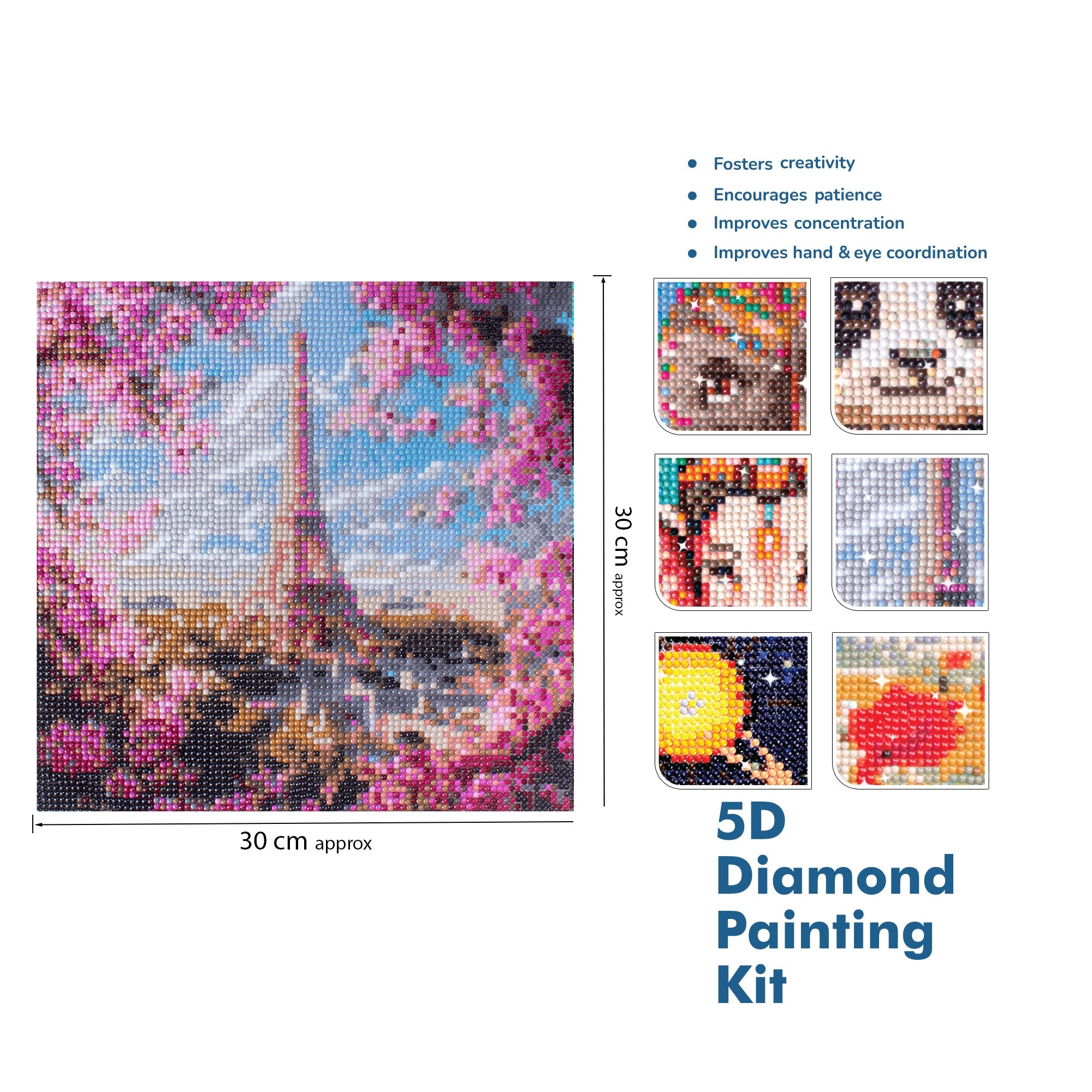 (30 X 30 cm) - 5D Diamond Painting - Blossoms in Paris  Matching Frame Combo