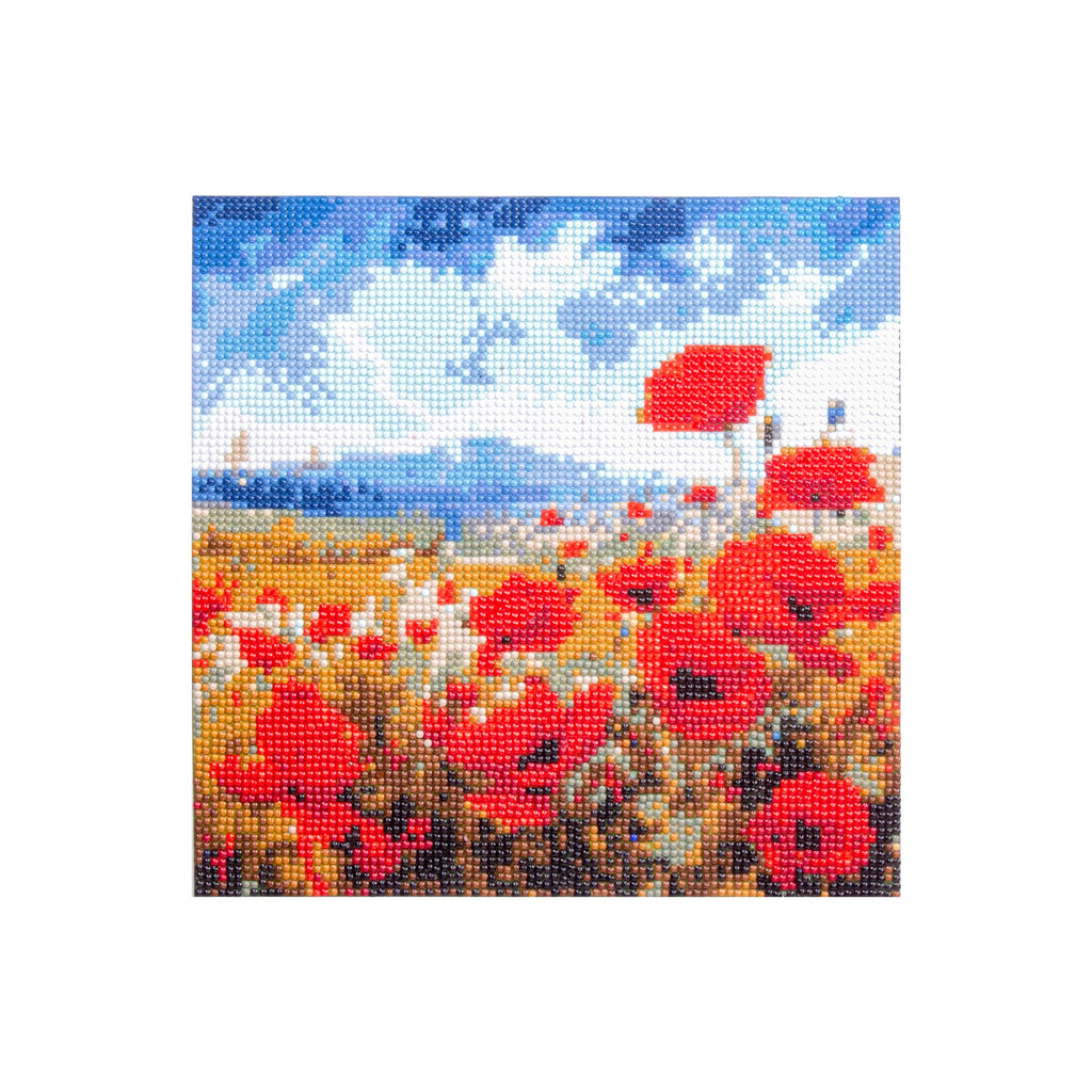 (30 X 30 cm) - 5D Diamond Painting - Poppy Garden  Matching Frame Combo