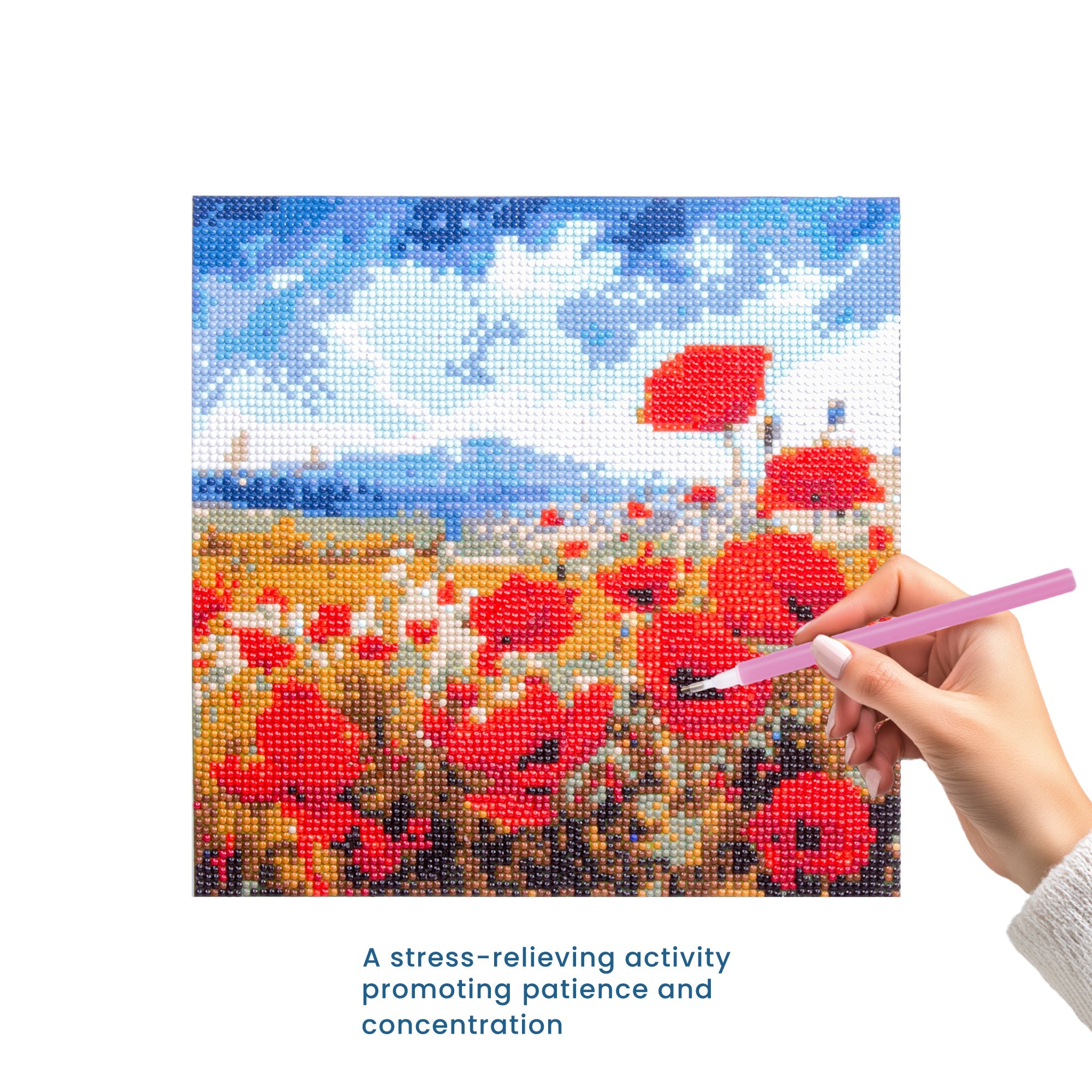 (30 X 30 cm) - 5D Diamond Painting - Poppy Garden  Matching Frame Combo