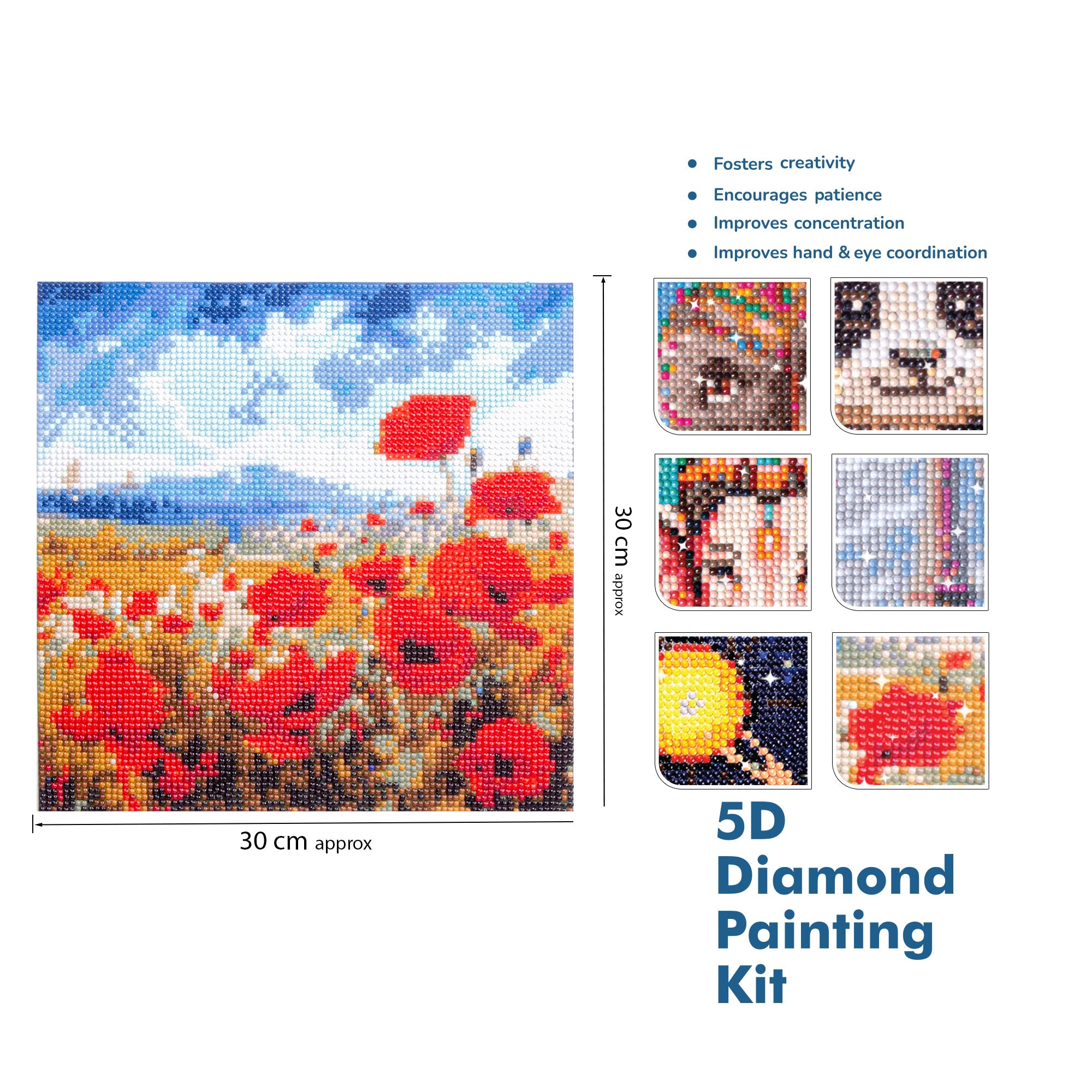 (30 X 30 cm) - 5D Diamond Painting - Poppy Garden  Matching Frame Combo