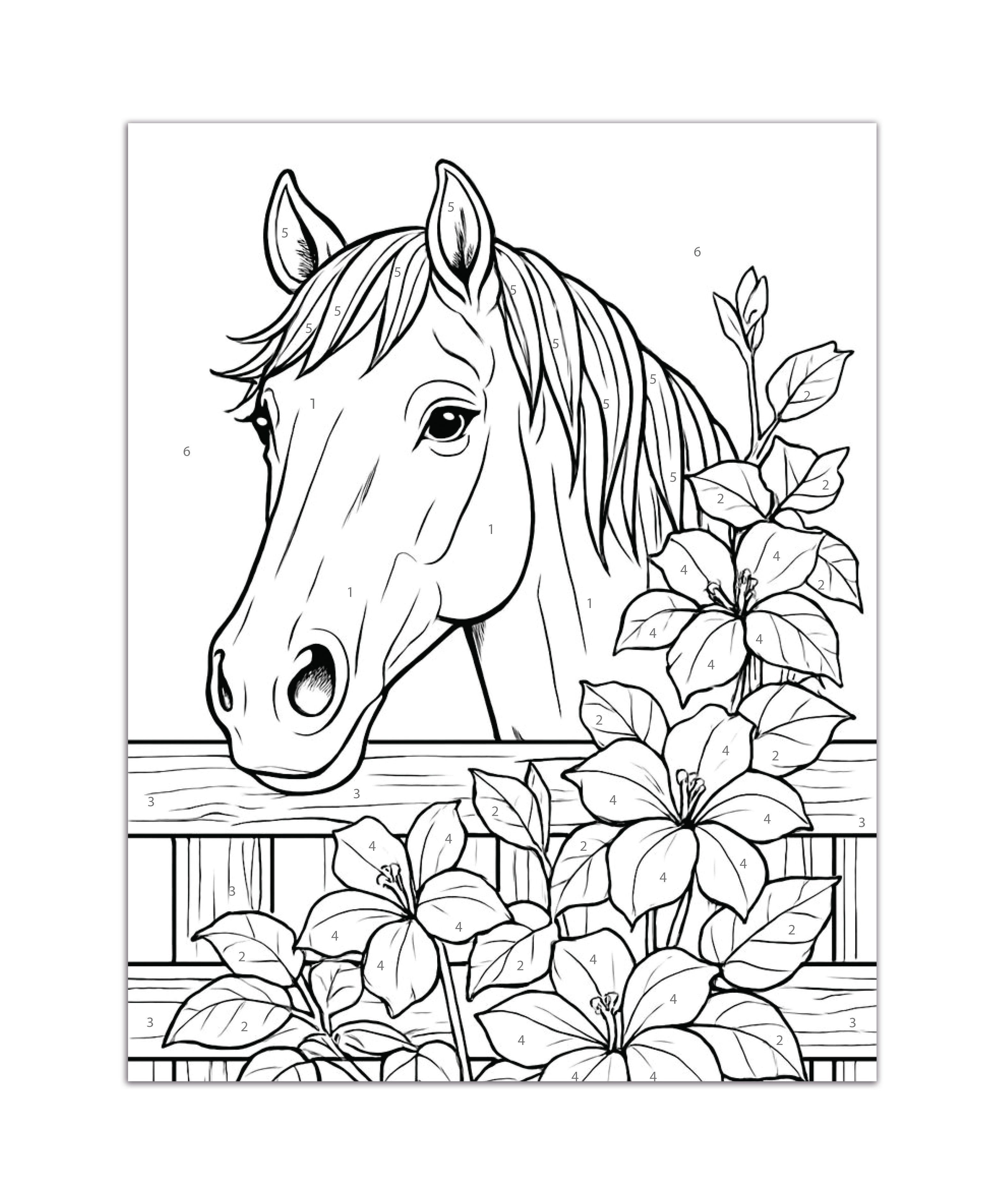DIY Paint By Numbers Kit Majestic Horse 8 X 10 inch 1pc